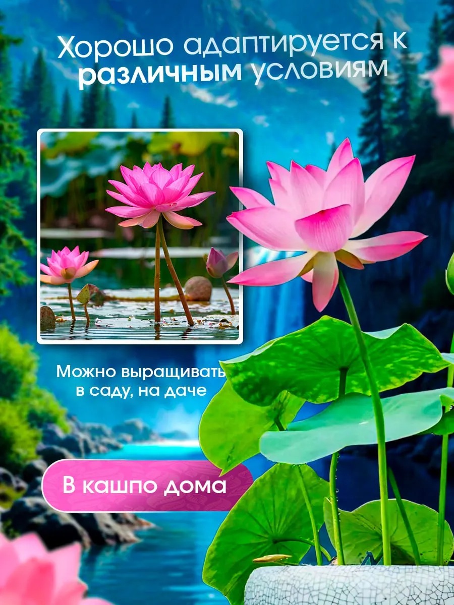 Подарочный браслет