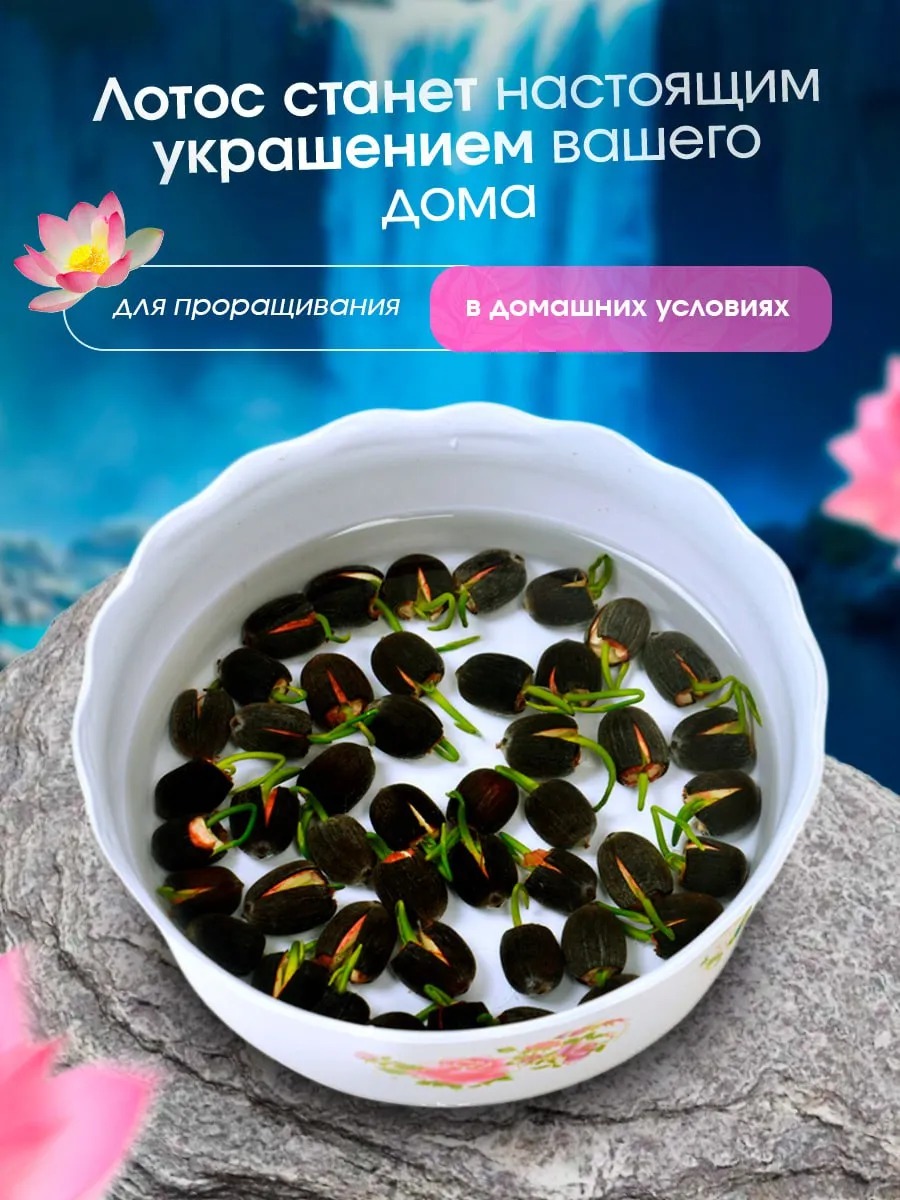 Рождественские фонари